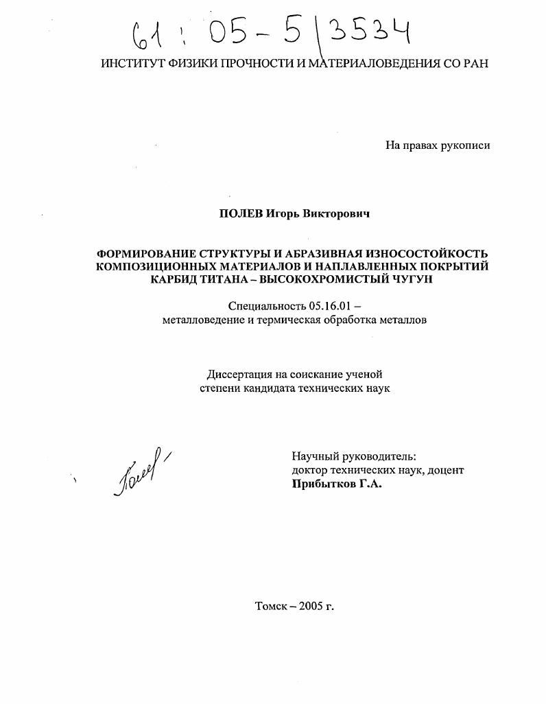 Формирование структуры и абразивная износостойкость композиционных материалов и наплавленных покрытий карбид титана - высокохромистый чугун
