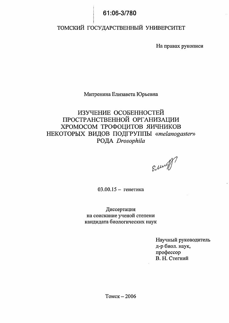 Изучение особенностей пространственной организации хромосом трофоцитов яичников некоторых видов подгруппы "melanogaster" рода Drosophila
