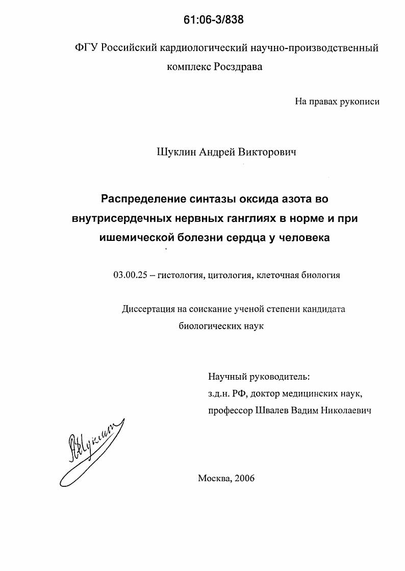 Распределение синтазы оксида азота во внутрисердечных нервных ганглиях в норме и при ишемической болезни сердца у человека
