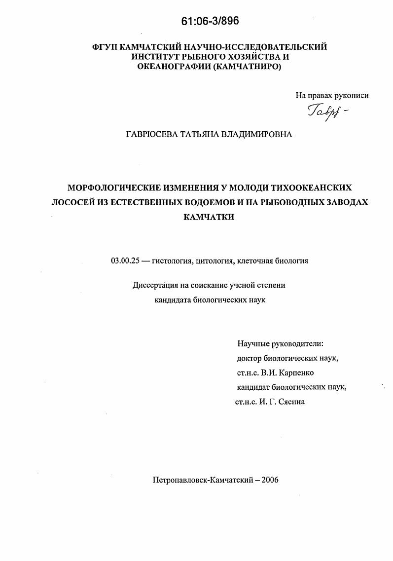скачать диссертацию Морфологические изменения у молоди тихоокеанских лососей из естественных водоемов и на рыбоводных заводах Камчатки Морфологические изменения у молоди тихоокеанских лососей из естественных водоемов и на рыбоводных заводах Камчатки