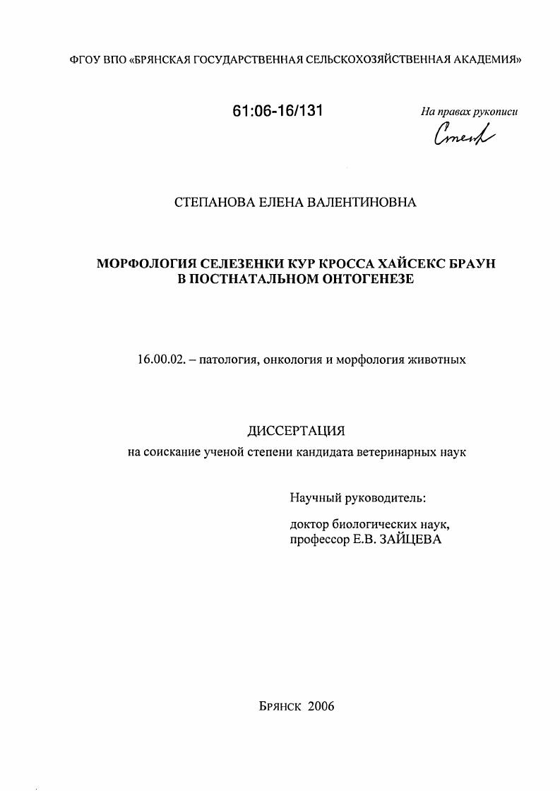 скачать диссертацию Морфология селезенки кур кросса Хайсекс браун в постнатальном онтогенезе Морфология селезенки кур кросса Хайсекс браун в постнатальном онтогенезе
