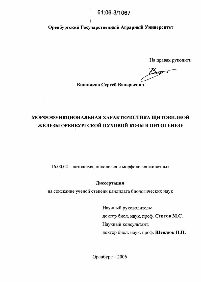 Морфофункциональная характеристика щитовидной железы оренбургской пуховой козы в онтогенезе