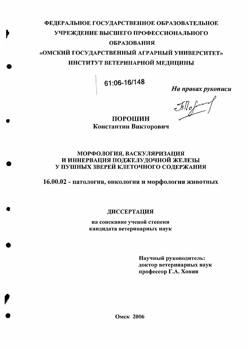 Морфология, васкуляризация и иннервация поджелудочной железы у пушных зверей клеточного содержания