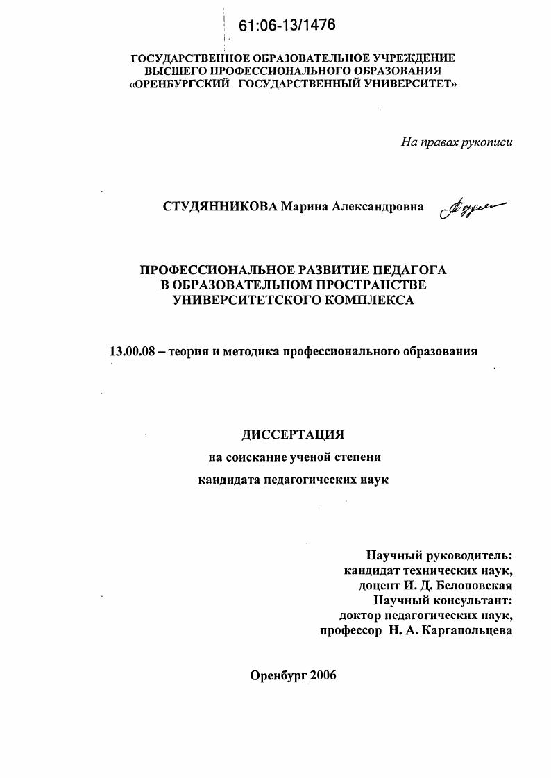 Профессиональное развитие педагога в образовательном пространстве университетского комплекса