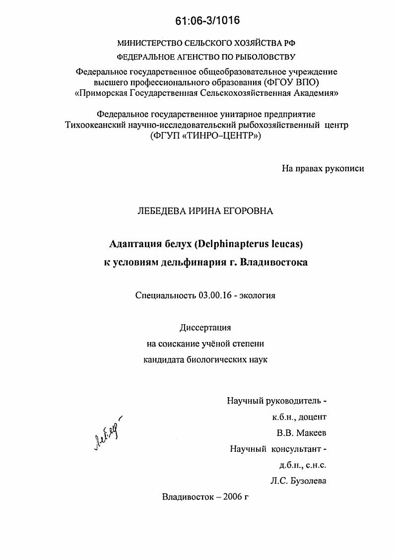 Адаптация белух (Delphinapterus leucas) к условиям дельфинария г. Владивостока
