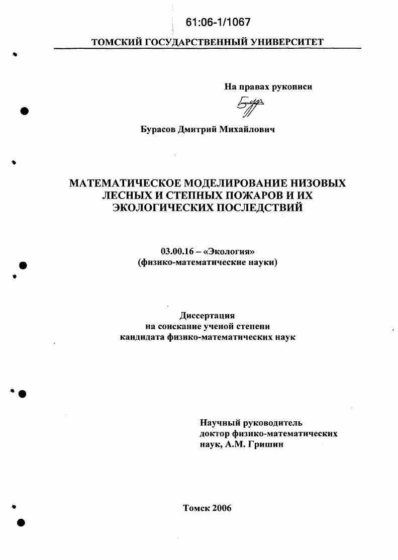 Математическое моделирование низовых лесных и степных пожаров и их экологических последствий