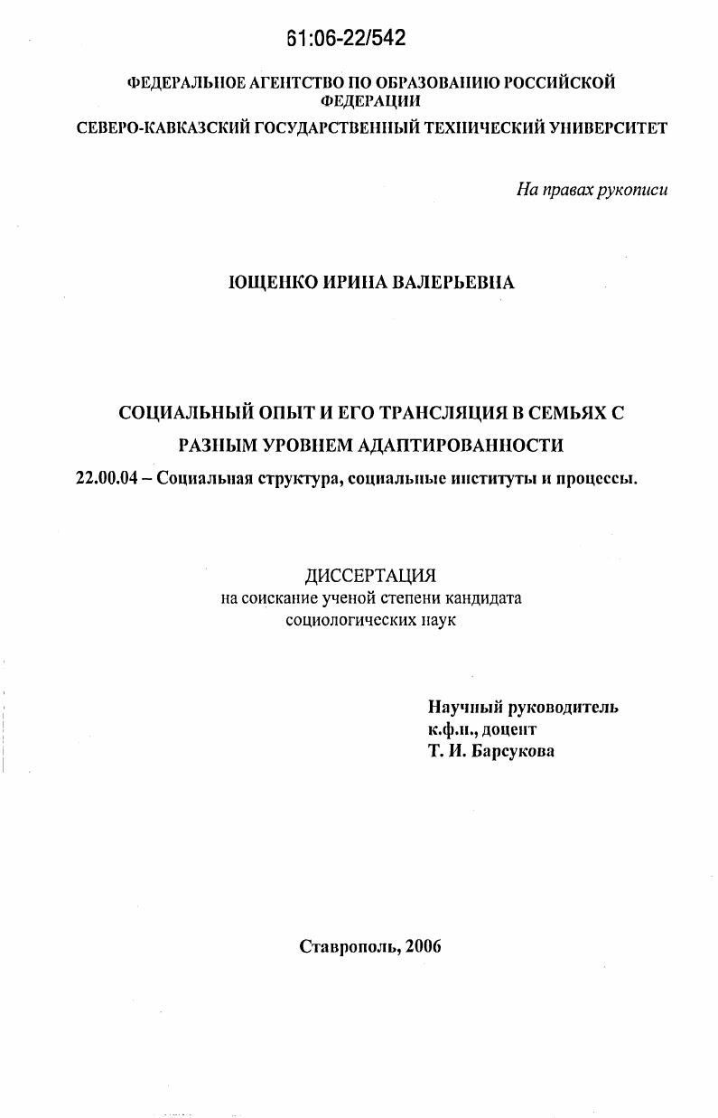 Социальный опыт и его трансляция в семьях с разным уровнем адаптированности