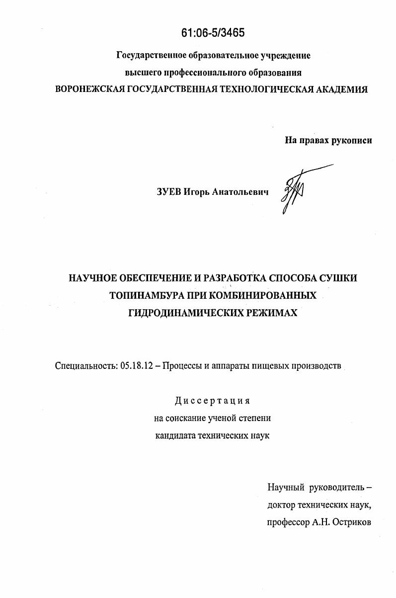 Научное обеспечение и разработка способа сушки топинамбура при комбинированных гидродинамических режимах