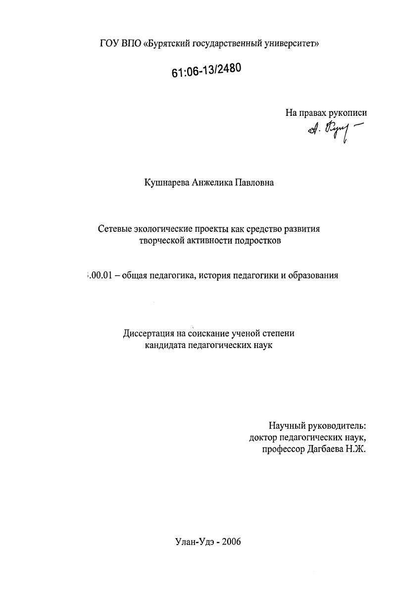 скачать диссертацию Сетевые экологические проекты как средство развития творческой активности подростков Сетевые экологические проекты как средство развития творческой активности подростков