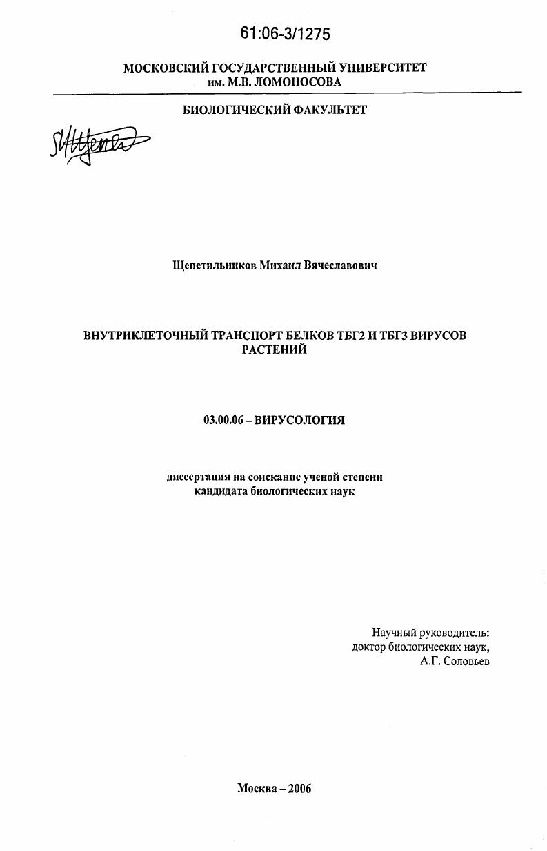 Внутриклеточный транспорт белков ТБГ2 и ТБГ3 вирусов растений