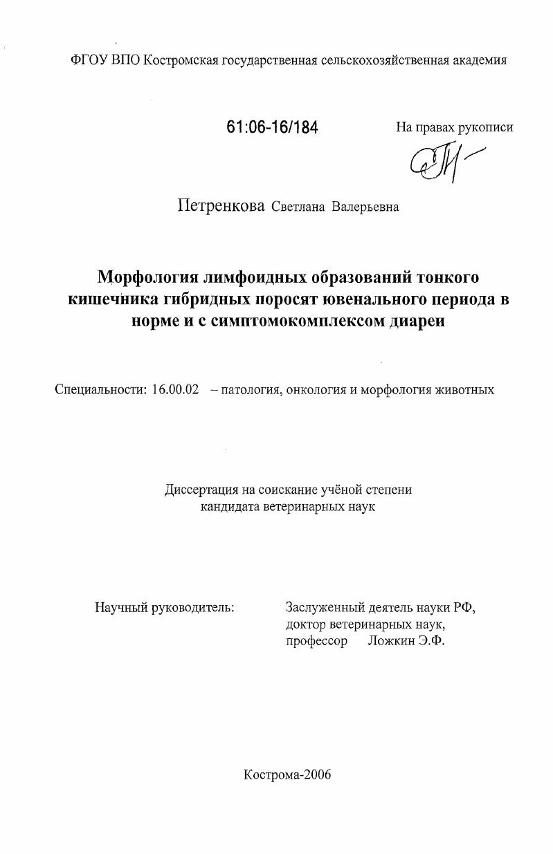 Морфология лимфоидных образований тонкого кишечника гибридных поросят ювенального периода в норме и с симптомокомплексом диареи