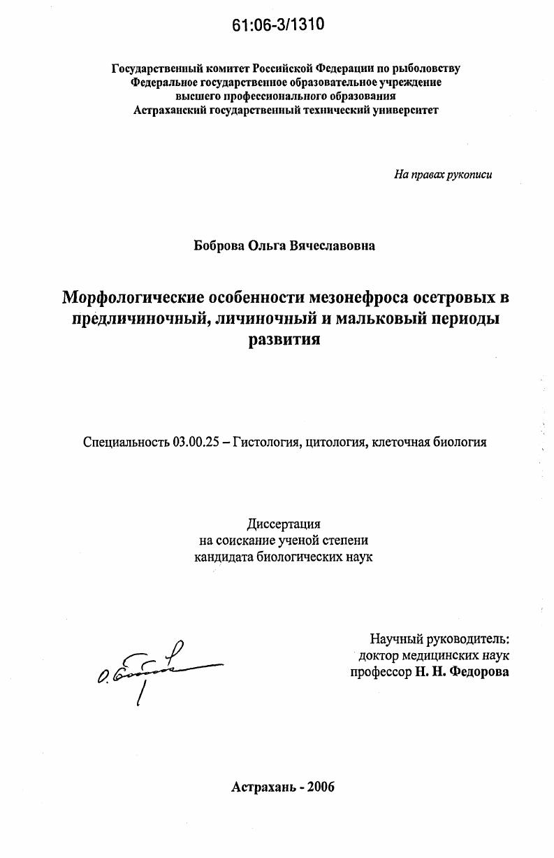 Морфологические особенности мезонефроса осетровых в предличиночный, личиночный и мальковый периоды развития