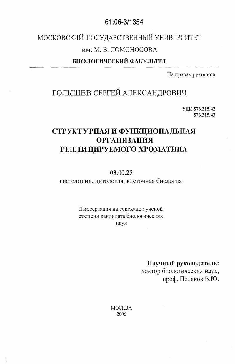 Структурная и функциональная организация реплицируемого хроматина