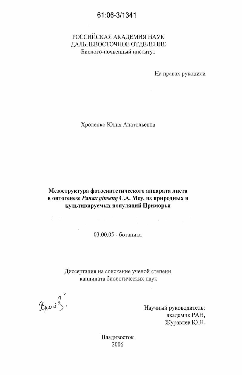 скачать диссертацию Мезоструктура фотосинтетического аппарата листа в онтогенезе Panax ginseng C.A. Mey. из природных и культивируемых популяций Приморья Мезоструктура фотосинтетического аппарата листа в онтогенезе Panax ginseng C.A. Mey. из природных и культивируемых популяций Приморья
