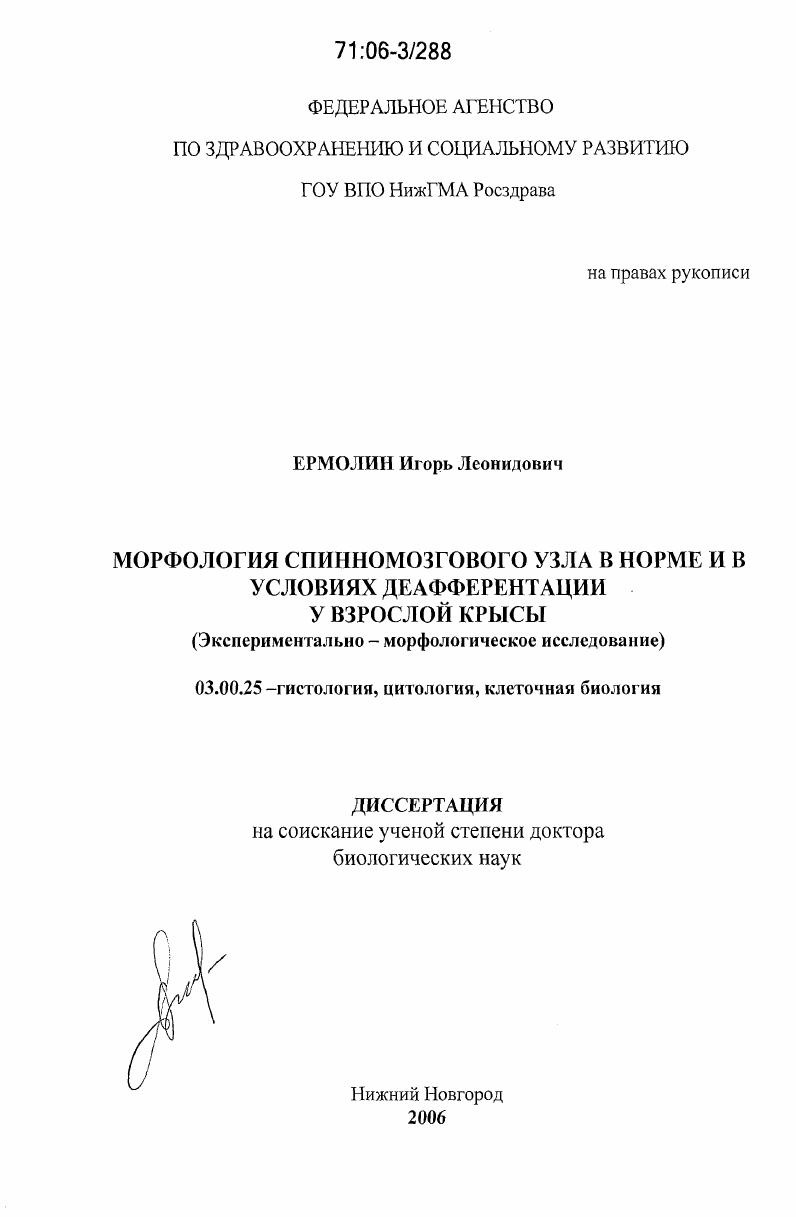 Морфология спинномозгового узла в норме и в условиях деафферентации у взрослой крысы : экспериментально-морфологическое исследование