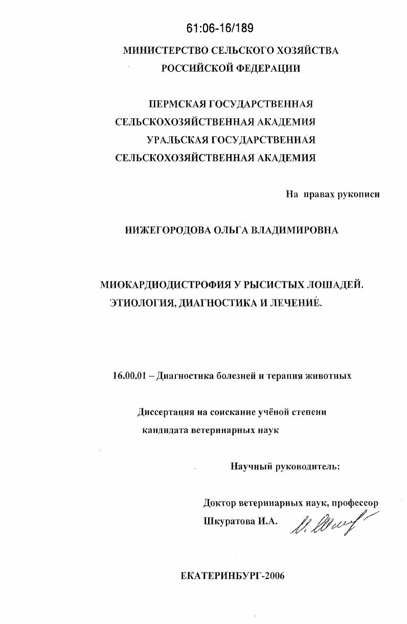 Миокардиодистрофия у рысистых лошадей : этиология, диагностика и лечение