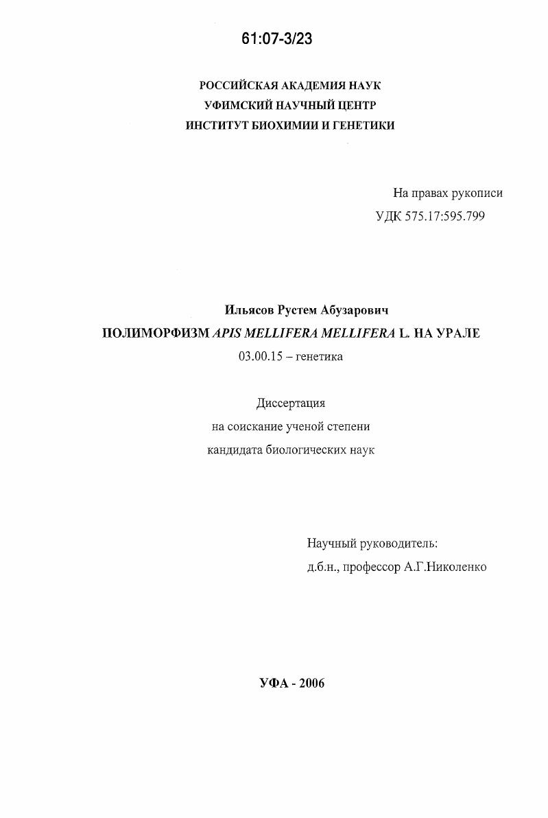 Полиморфизм Apis mellifera mellifera L. на Урале