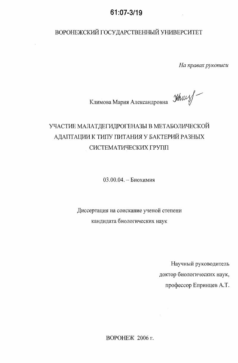 скачать диссертацию Участие малатдегидрогеназы в метаболической адаптации к типу питания у бактерий разных систематических групп Участие малатдегидрогеназы в метаболической адаптации к типу питания у бактерий разных систематических групп