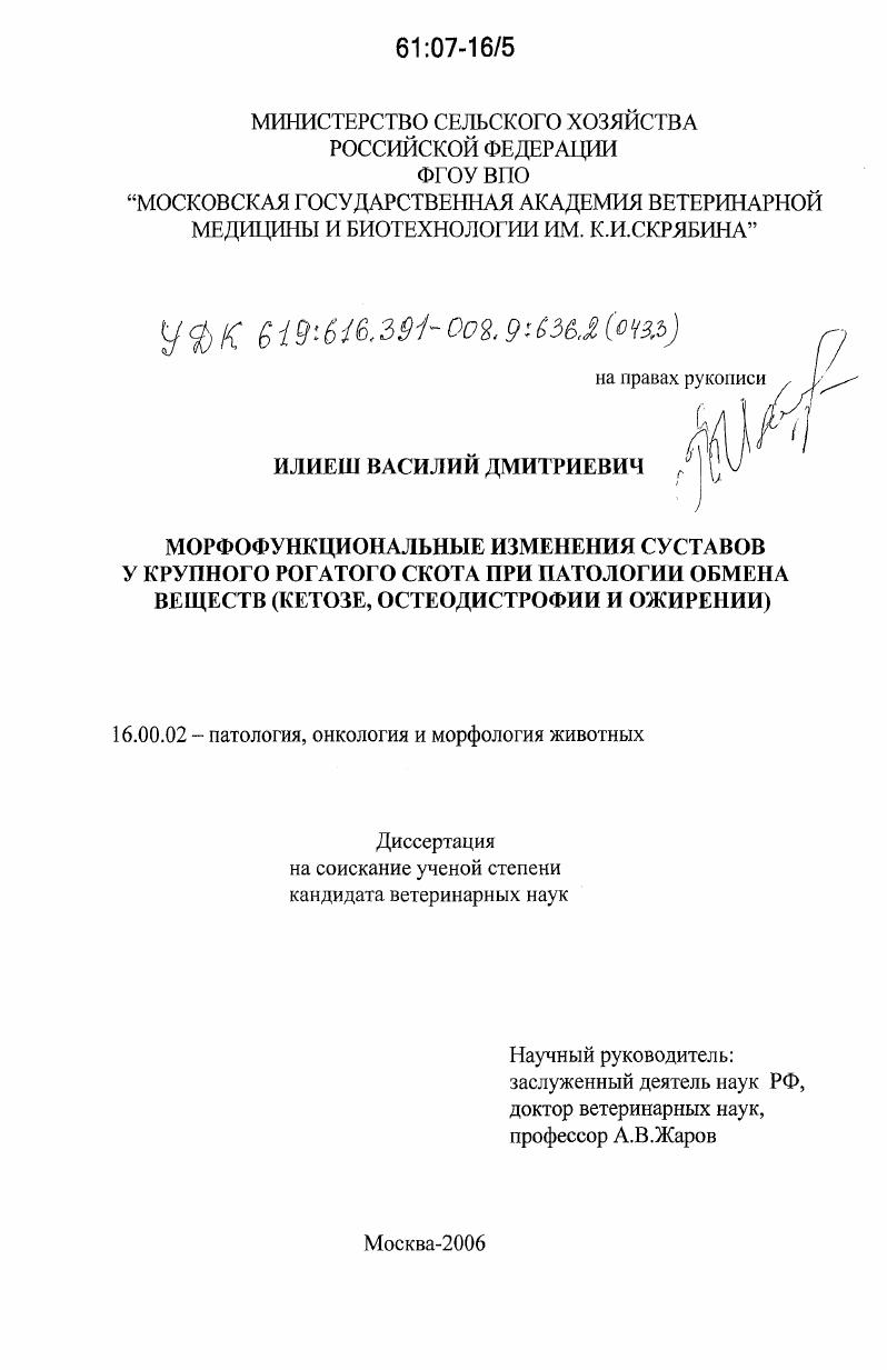 Морфофункциональные изменения суставов у крупного рогатого скота при патологии обмена веществ : кетозе, остеодистрофии и ожирении