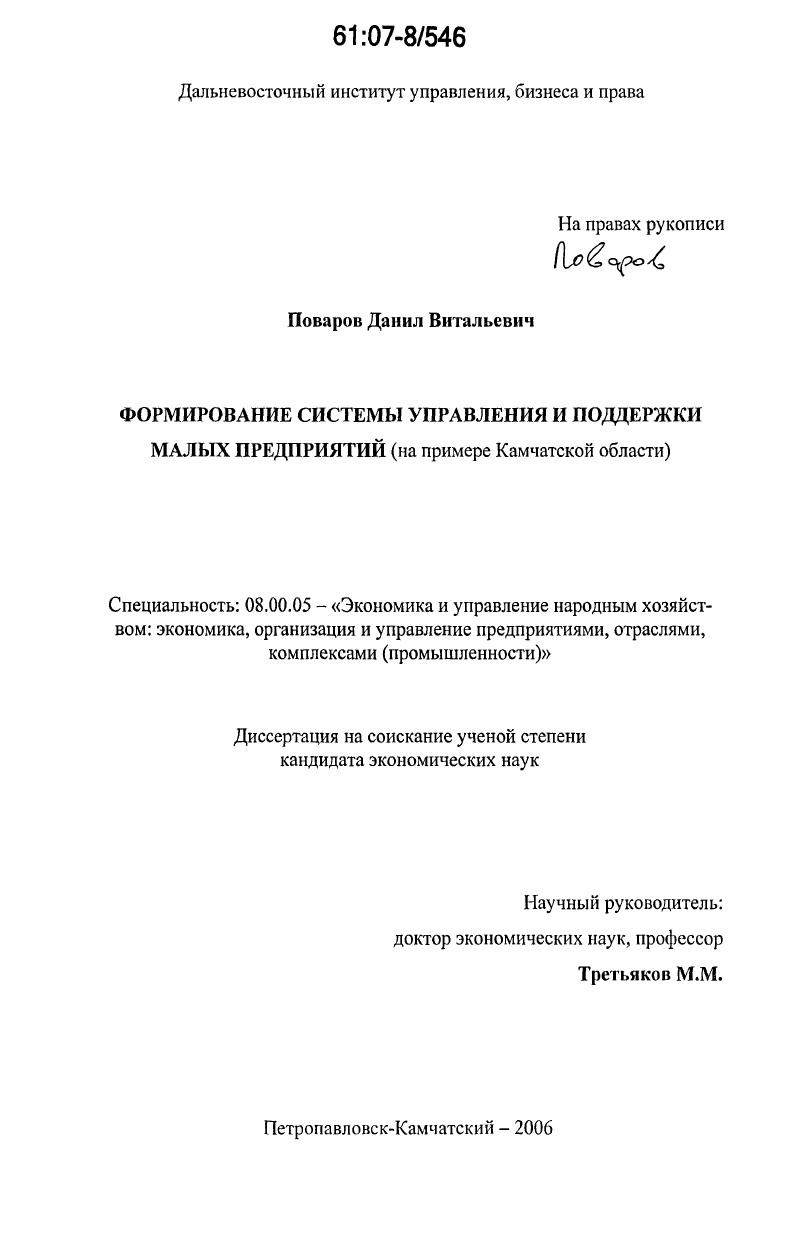 Формирование системы управления и поддержки малых предприятий : на примере Камчатской области