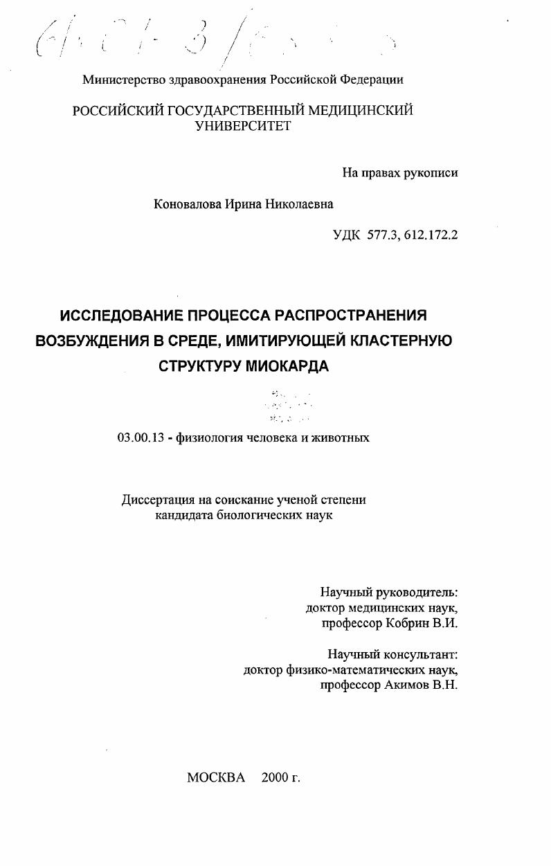 Исследование процесса распространения возбуждения в среде, имитирующей кластерную структуру миокарда