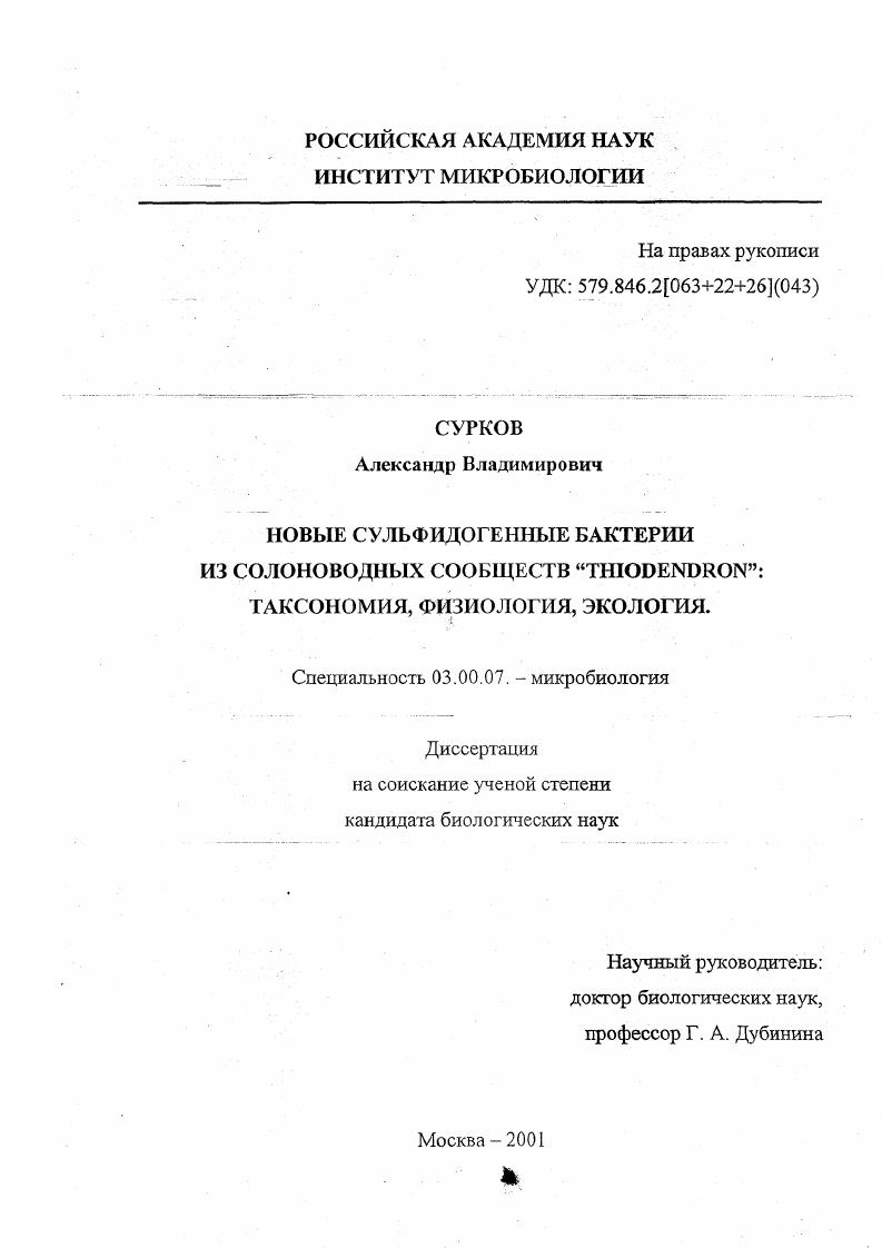 Новые сульфидогенные бактерии из солоноводных сообществ "Thiodendron" : Таксономия, физиология, экология