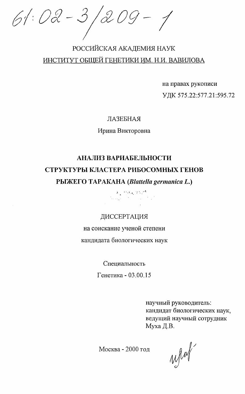 Анализ вариабельности структуры кластера рибосомных генов рыжего таракана : Blattella germanika L.