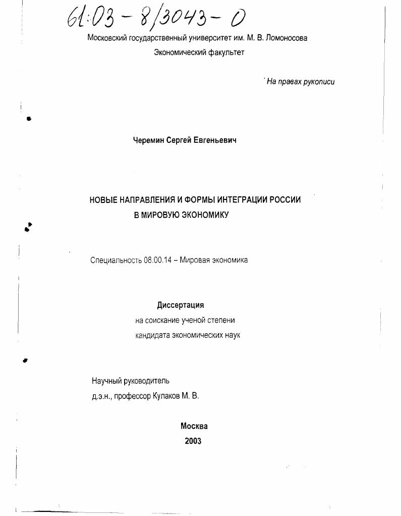 Новые направления и формы интеграции России в мировую экономику