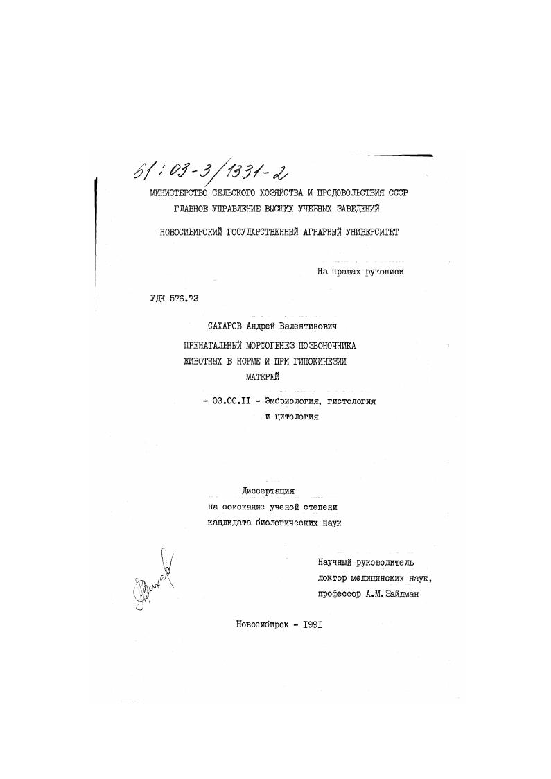 Пренатальный морфогенез позвоночника животных в норме и при гипокинезии матерей