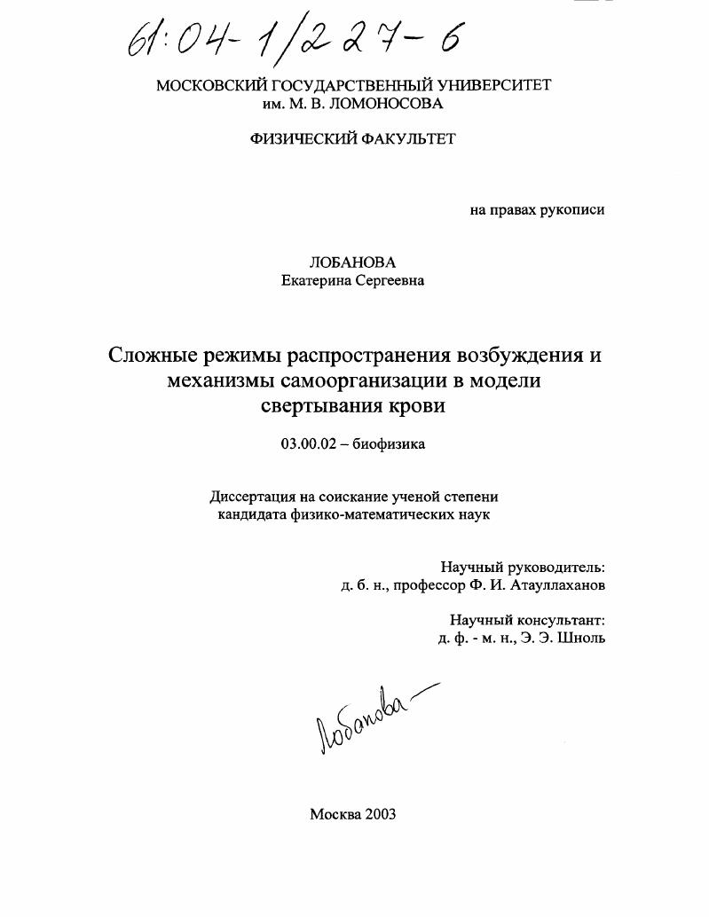 Сложные режимы распространения возбуждения и механизмы самоорганизации в модели свертывания крови