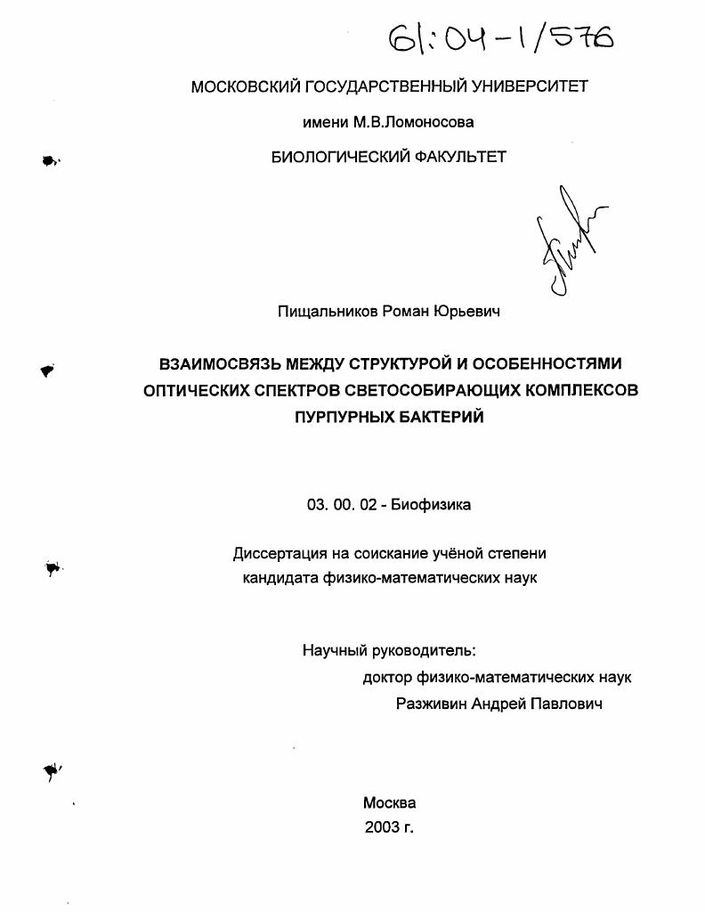 Взаимосвязь между структурой и особенностями оптических спектров светособирающих комплексов пурпурных бактерий