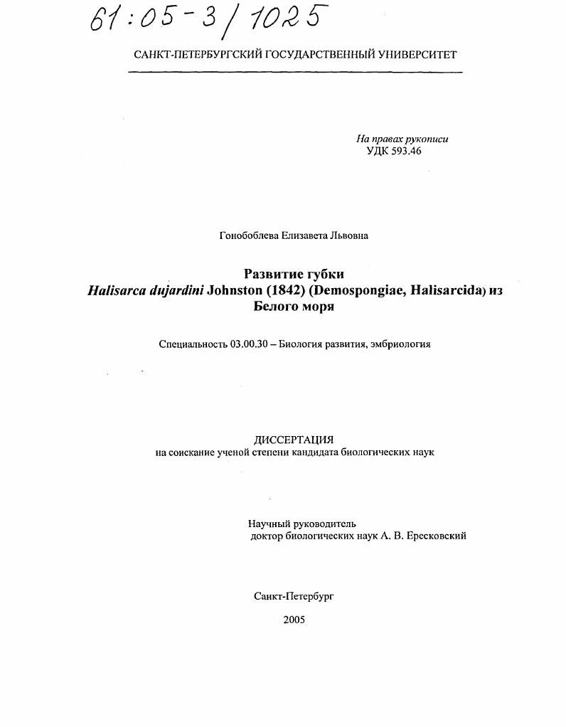 Развитие губки Halisarca dujardini Johnston (1842) (Demospongiae, Halisarcida) из Белого моря