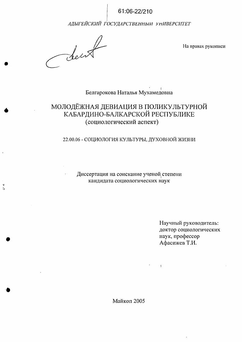 Молодежная девиация в поликультурной Кабардино-Балкарской Республике : Социологический аспект