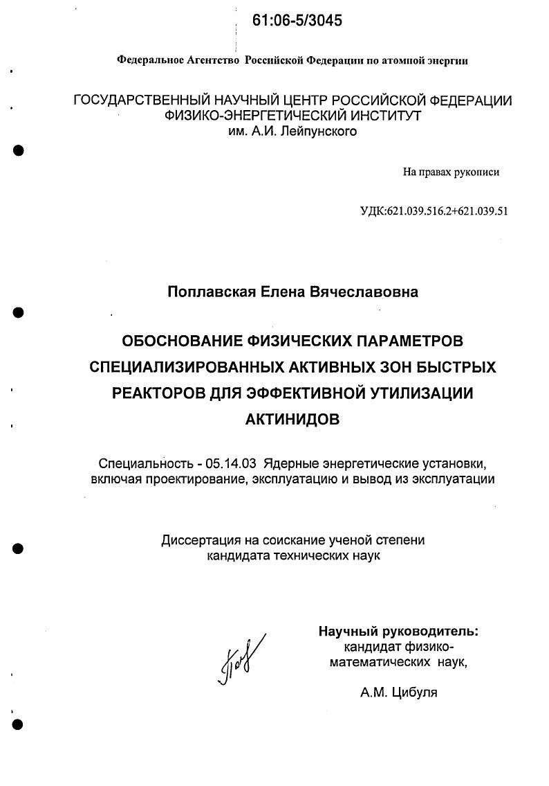 Обоснование физических параметров специализированных активных зон быстрых реакторов для эффективной утилизации актинидов