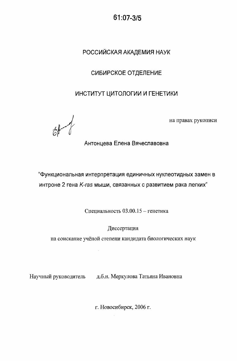 скачать диссертацию Функциональная интерпретация единичных нуклеотидных замен в интроне 2 гена К-ras мыши, связанных с развитием рака легких Функциональная интерпретация единичных нуклеотидных замен в интроне 2 гена К-ras мыши, связанных с развитием рака легких