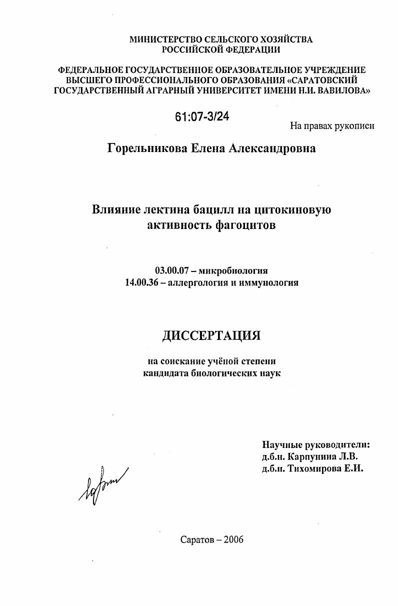 Влияние лектина бацилл на цитокиновую активность фагоцитов