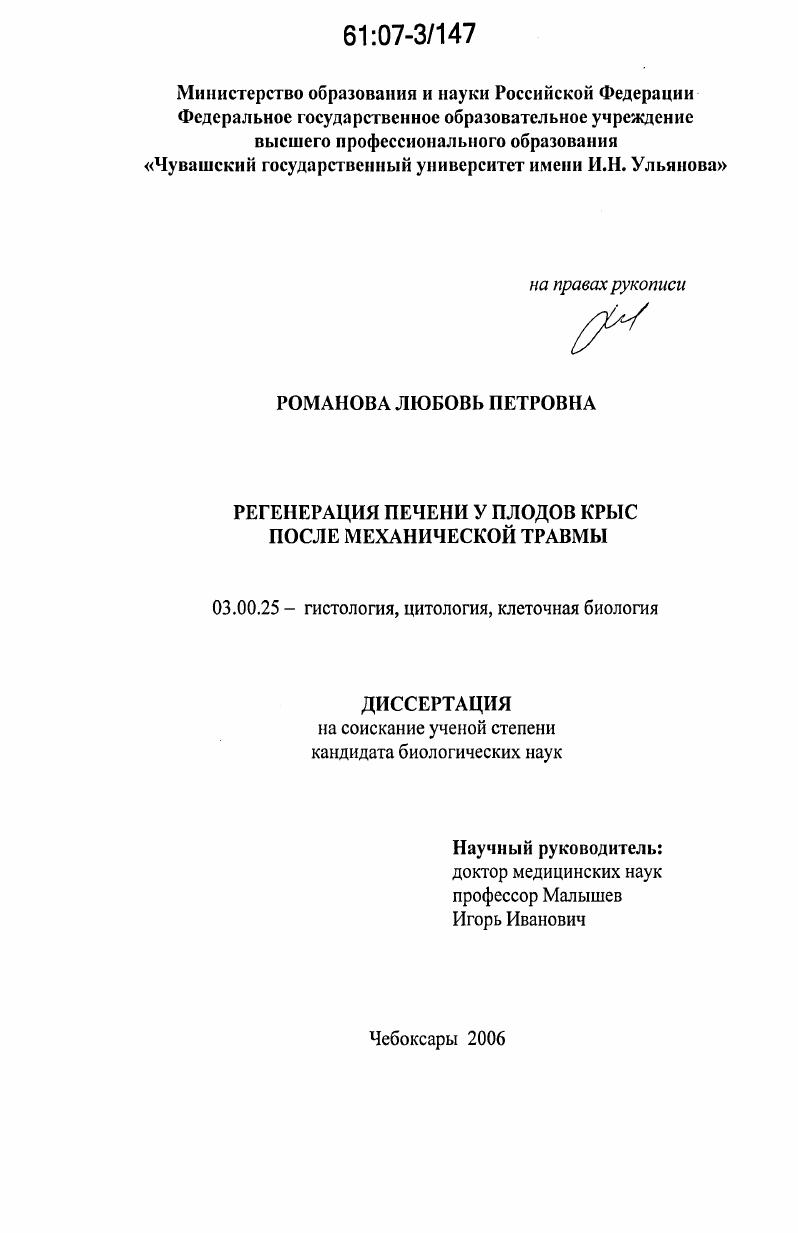 Регенерация печени у плодов крыс после механической травмы