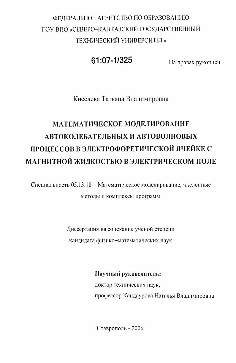 Математическое моделирование автоколебательных и автоволновых процессов в электрофоретической ячейке с магнитной жидкостью в электрическом поле