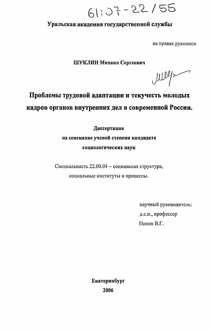 скачать диссертацию Проблемы трудовой адаптации и текучесть молодых кадров органов внутренних дел в современной России Проблемы трудовой адаптации и текучесть молодых кадров органов внутренних дел в современной России