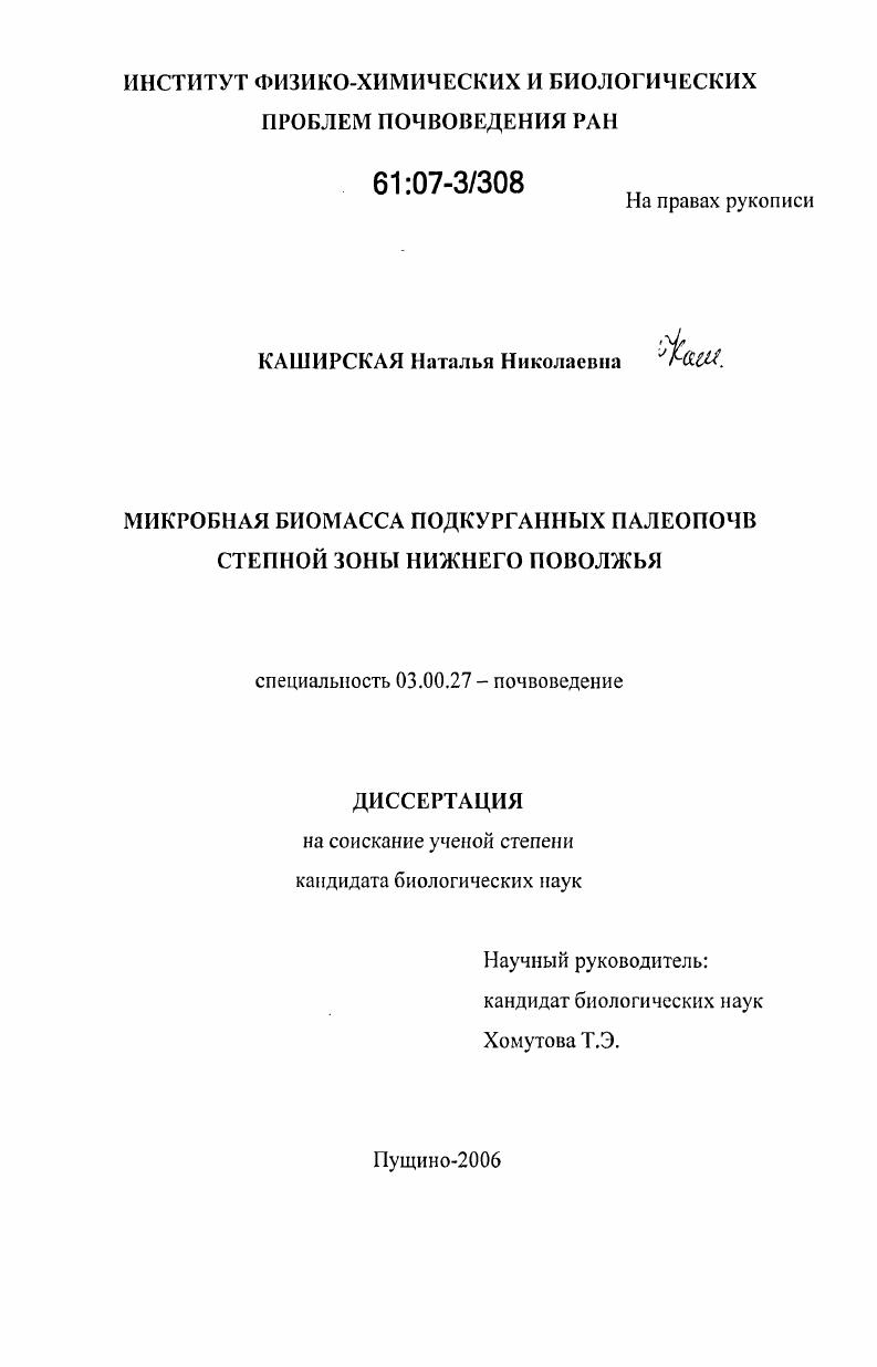 Микробная биомасса подкурганных палеопочв степной зоны Нижнего Поволжья