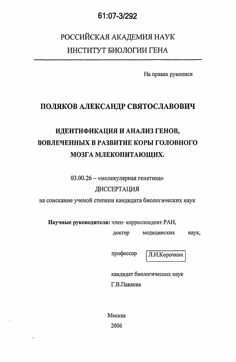 Идентификация и анализ генов, вовлеченных в развитие коры головного мозга млекопитающих