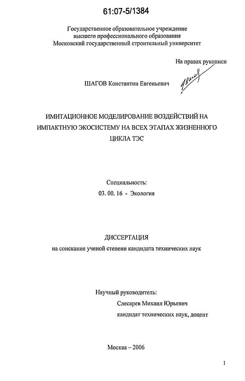 скачать диссертацию Имитационное моделирование воздействий на импактную экосистему на всех этапах жизненного цикла ТЭС Имитационное моделирование воздействий на импактную экосистему на всех этапах жизненного цикла ТЭС