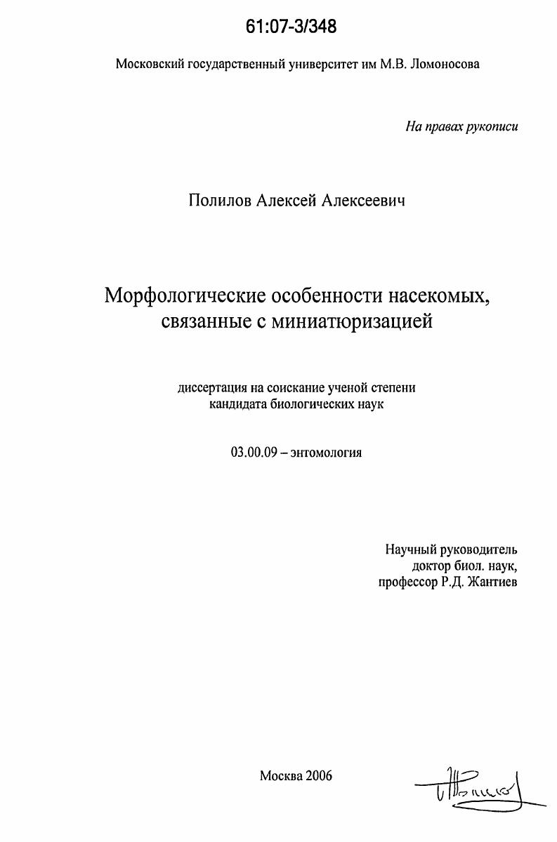 скачать диссертацию Морфологические особенности насекомых, связанные с миниатюризацией Морфологические особенности насекомых, связанные с миниатюризацией