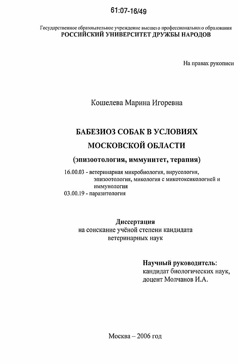 Бабезиоз собак в условиях Московской области : эпизоотология, иммунитет, терапия