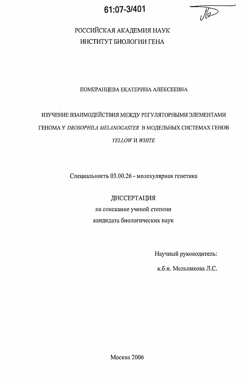 Изучение взаимодействия между регуляторными элементами генома у Drosophila melanogaster в модельных системах генов yellow и white