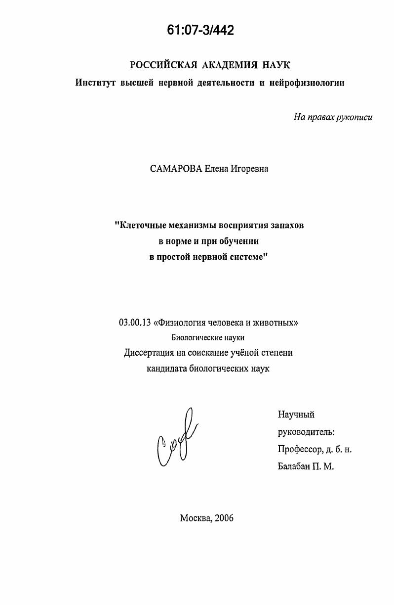 Клеточные механизмы восприятия запахов в норме и при обучении в простой нервной системе