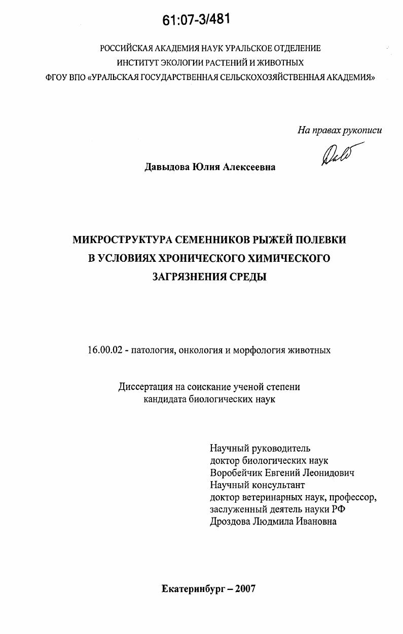 Микроструктура семенников рыжей полевки в условиях хронического химического загрязнения среды
