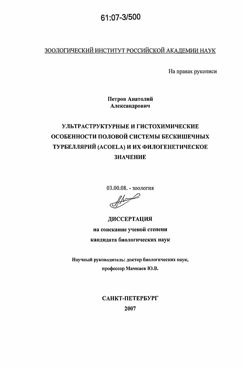Ультраструктурные и гистохимические особенности половой системы бескишечных турбеллярий (Acoela) и их филогенетическое значение