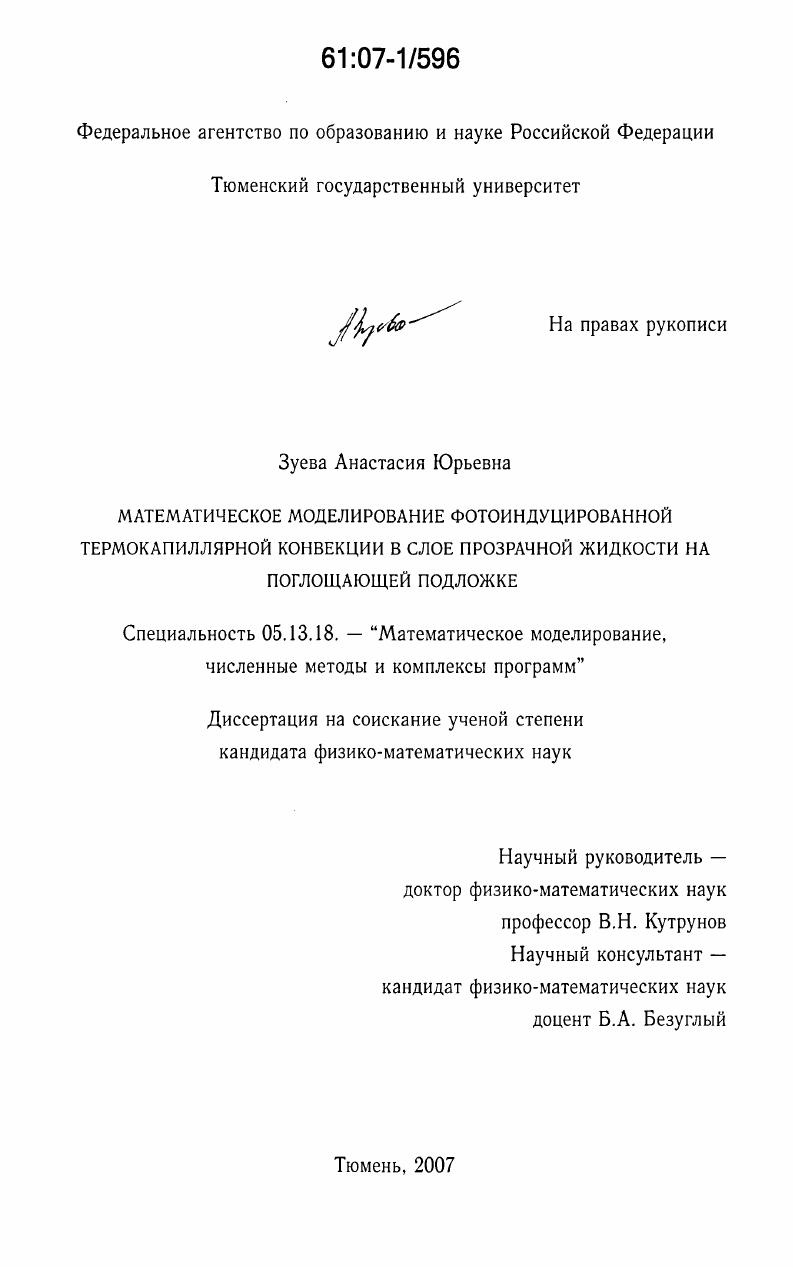 скачать диссертацию Математическое моделирование фотоиндуцированной термокапиллярной конвекции в слое прозрачной жидкости на поглощающей подложке Математическое моделирование фотоиндуцированной термокапиллярной конвекции в слое прозрачной жидкости на поглощающей подложке