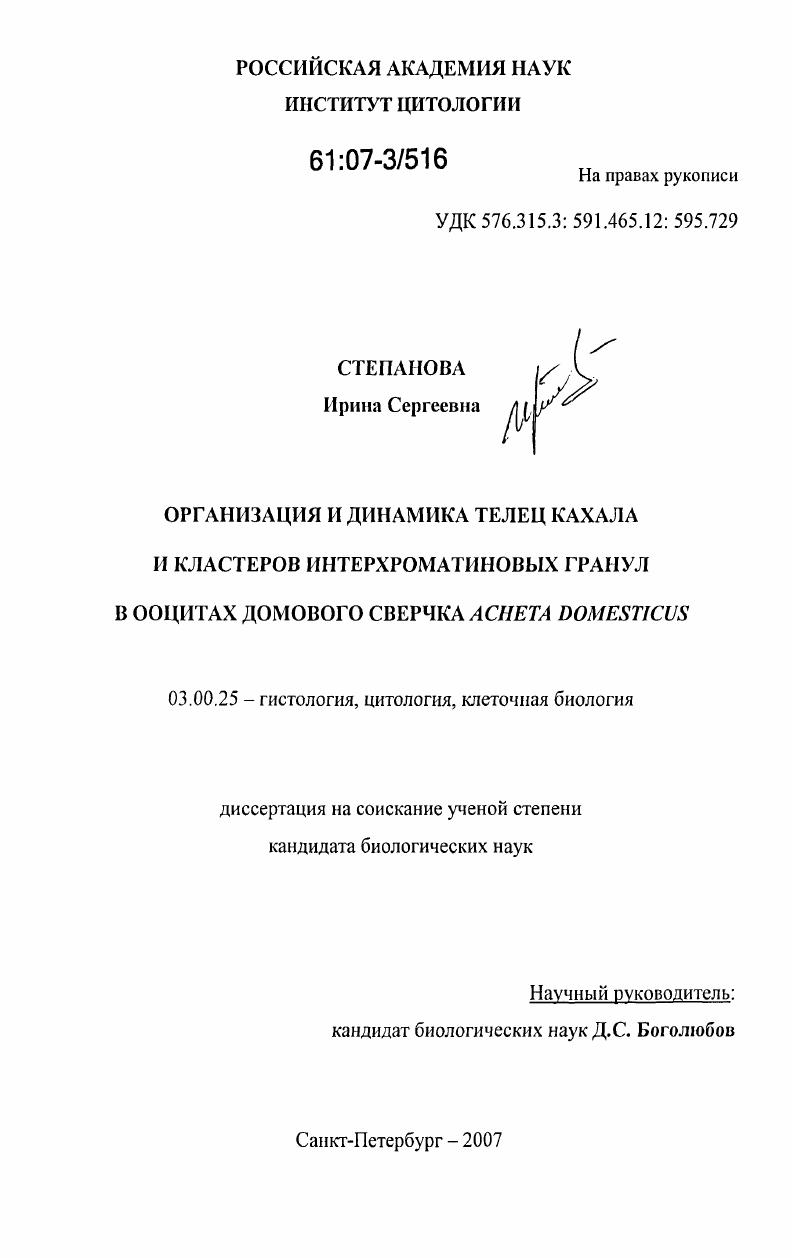 Организация и динамика телец кахала и кластеров интерхроматиновых гранул в ооцитах домового сверчка Acheta domesticus